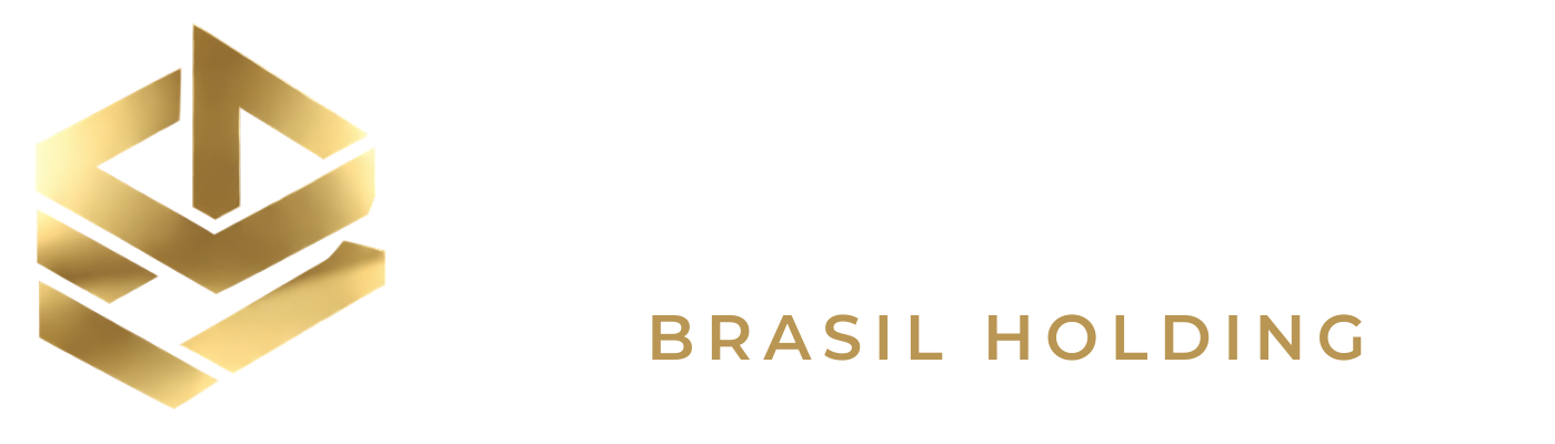 Vértices Brasil Holding